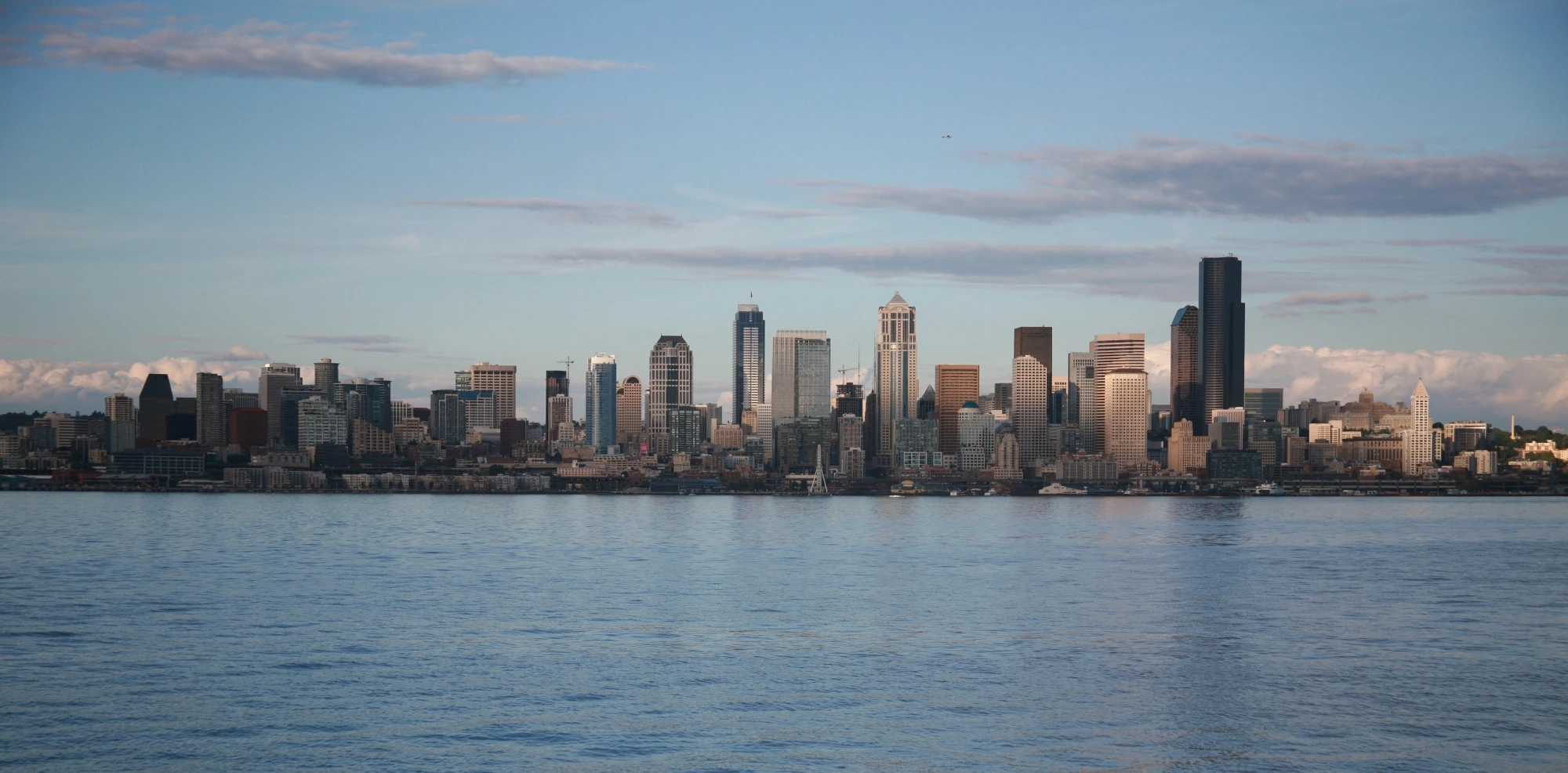Banner 1
